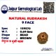 9 Mukhi Indonesia Rudraksha – Original & Certified Navmukhi Bead 9 Mukhi Indonesia Rudraksha – Original & Certified Navmukhi Bead